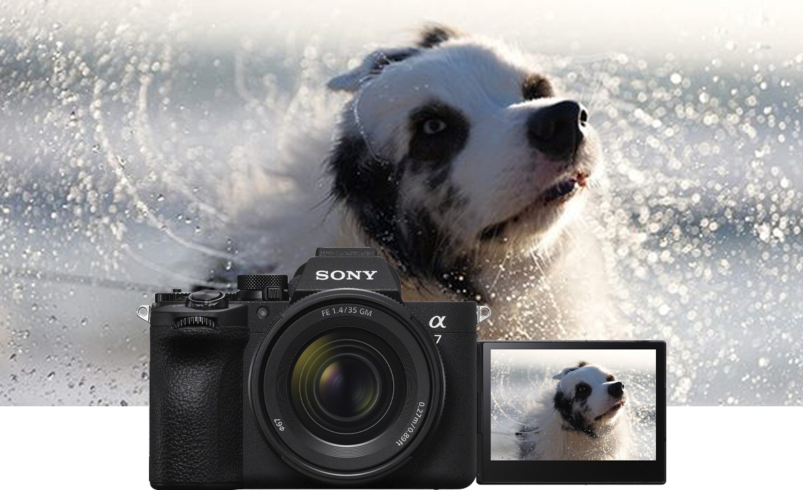 Sei un fotografo wildlife? Scopri perchè scegliere α7 V di Sony