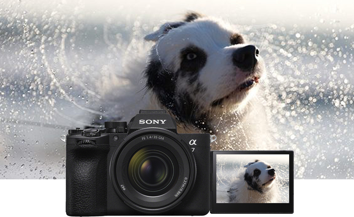Sei un fotografo wildlife? Scopri perchè scegliere α7 V di Sony